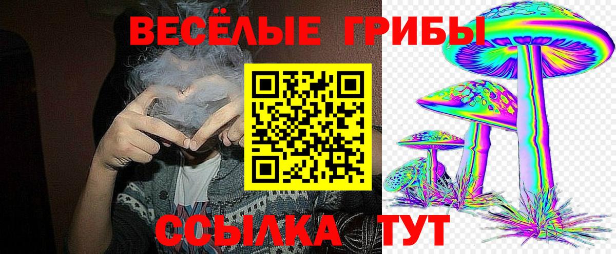 Лянтор  Галлюциногенные грибы MAGIC MUSHROOMS  Вход с VPN 
